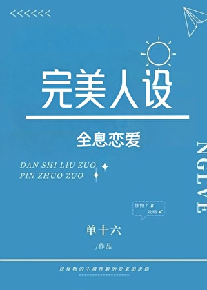 完美人设[全息]