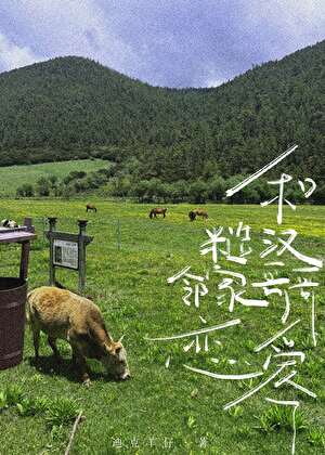 和糙汉邻家哥哥恋爱了