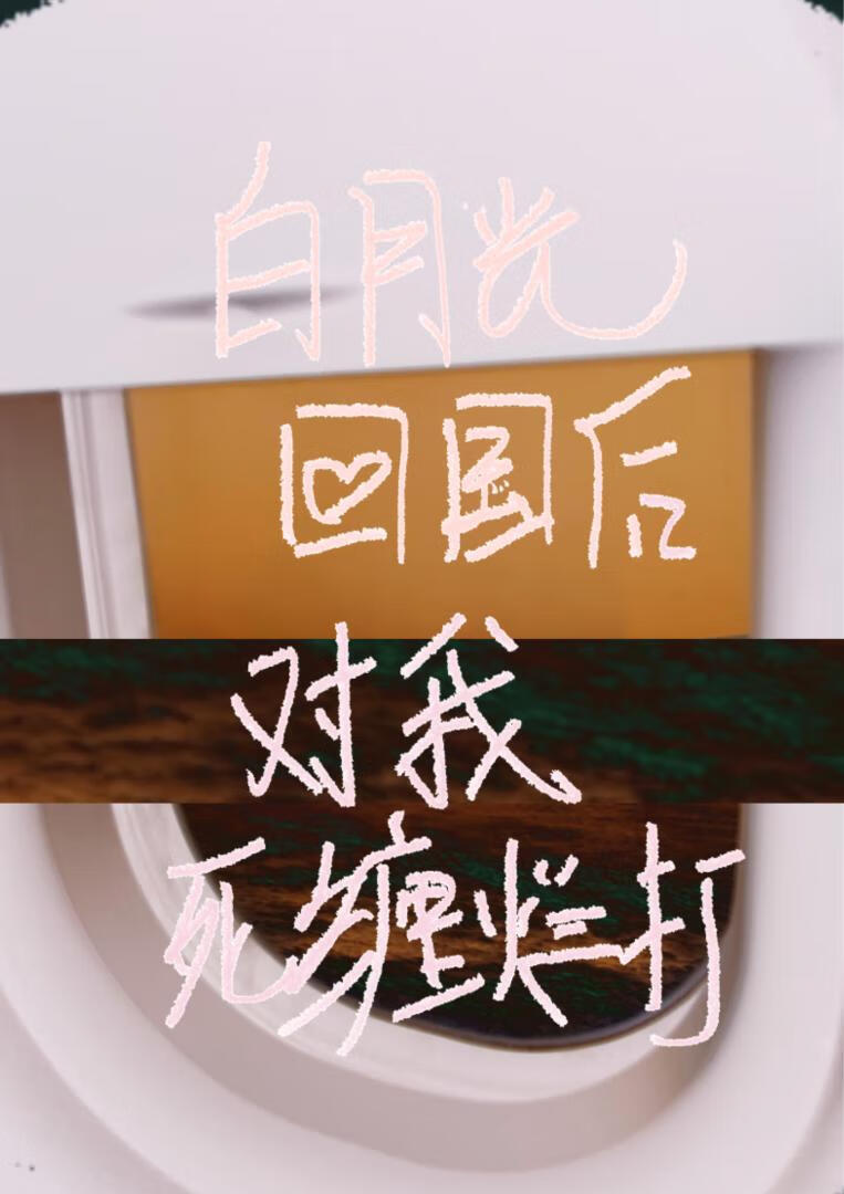 白月光回国后对我死缠烂打