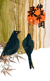 仲夏原著小说