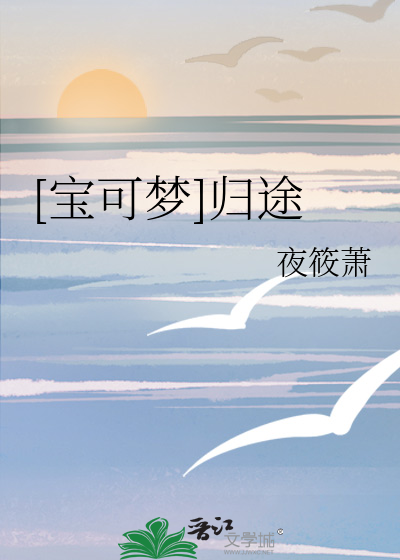 宝可梦归途在线观看