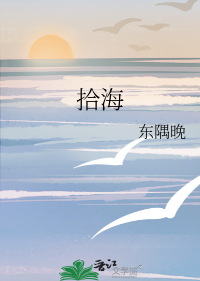 拾海贝的晚霞小说