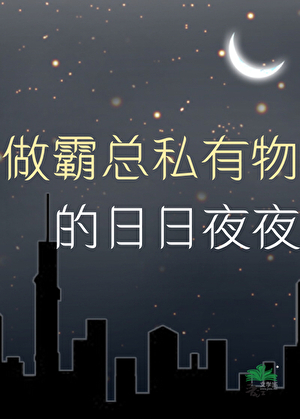 做霸总私有物的日日夜夜